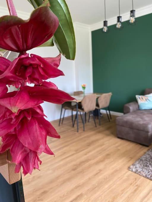 2-zimmer Zentral In Ferdinandshof, Wlan Modern Apartment *