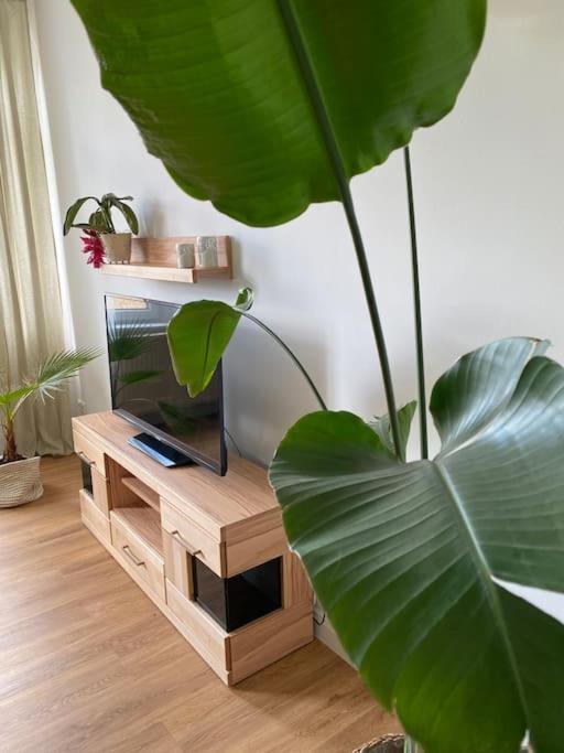 2-zimmer Zentral In Ferdinandshof, Wlan Modern Apartment