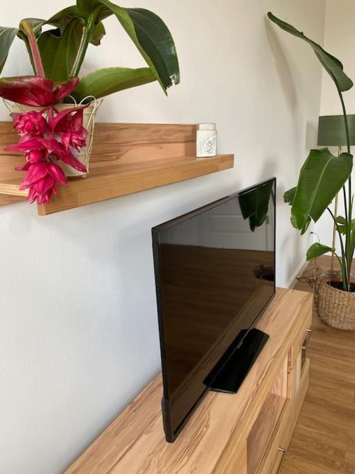 2-zimmer Zentral In Ferdinandshof, Wlan Modern Apartment *